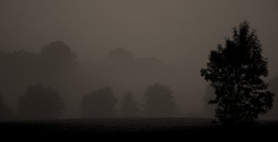 Subir, en silence_6013757752_l.jpg